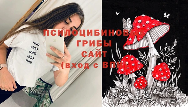 MDMA Медногорск
