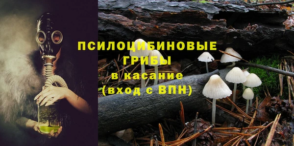 спиды Мегион