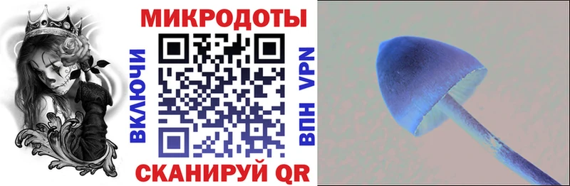 где купить наркотик Пудож маркетплейс какой сайт Псилоцибиновые грибы прущие грибы