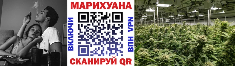 Бошки Шишки SATIVA & INDICA  KRAKEN онион  darknet какой сайт  Пудож 